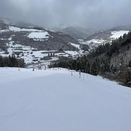 Myto Polana *